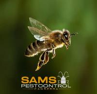 Sams Bee and Wasp Removal Canberra image 11